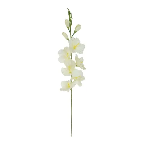 Gladiolus – vetvička 77 cm cream K321